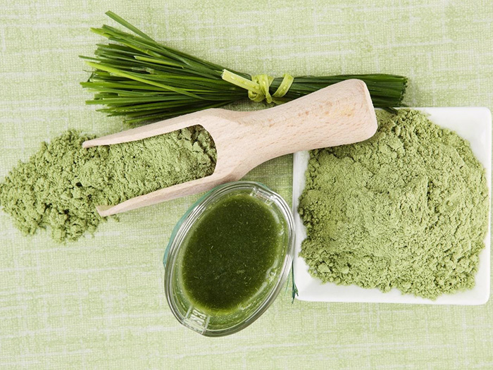 Tảo mặt trời là gì? Tất cả thông tin về tảo mặt trời có tại đây.