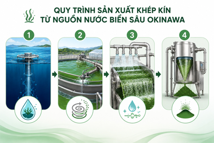 Japan Algae Thương hiệu Tảo Xoắn số 1 Nhật Bản suốt 45 năm