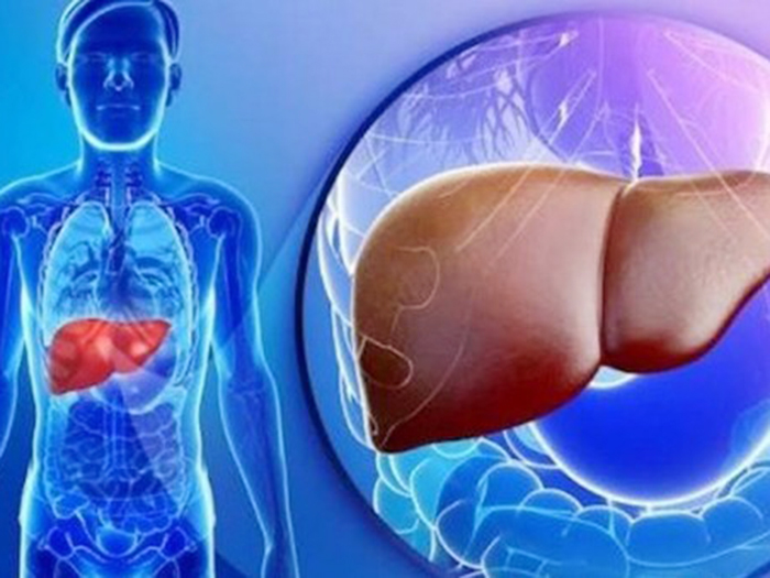 Tảo Xoắn Nhật hỗ trợ tăng cường sức khoẻ gan và thanh lọc cơ thể