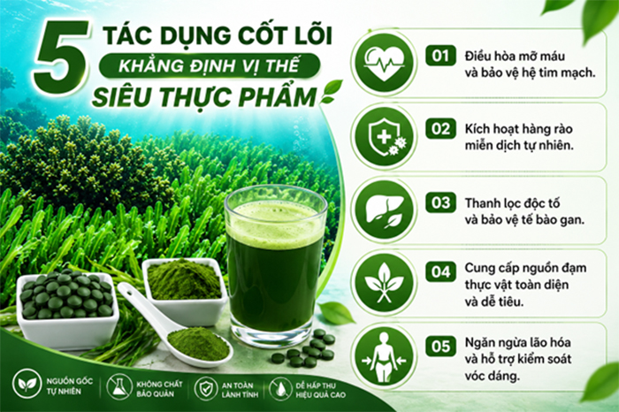 Vì sao gọi Tảo Xoắn là "Siêu Thực Phẩm" của thế giới hiện nay