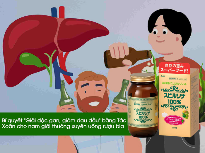 Bí quyết "Giải độc gan, giảm đau đầu" bằng Tảo Xoắn cho nam giới thường xuyên uống rượu bia