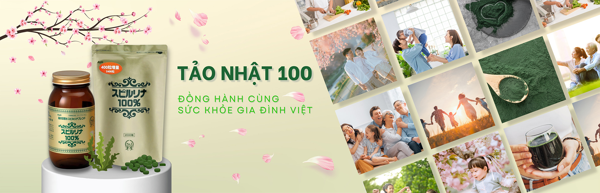 Banner Tảo Nhật Japan Algae