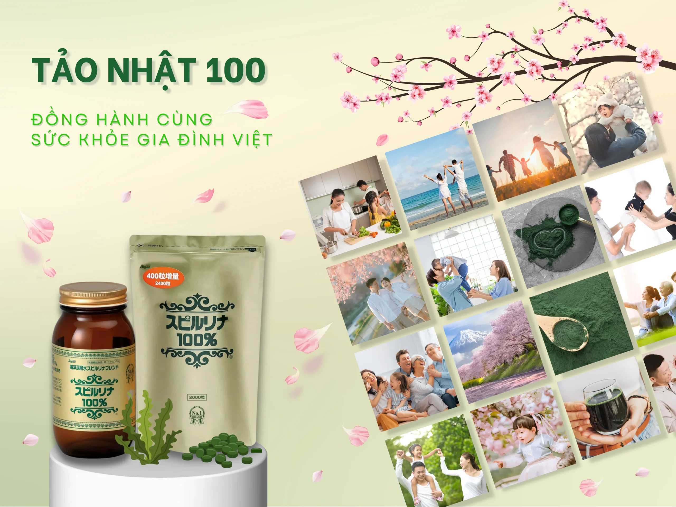 Banner Tảo Nhật Japan Algae - Mobile