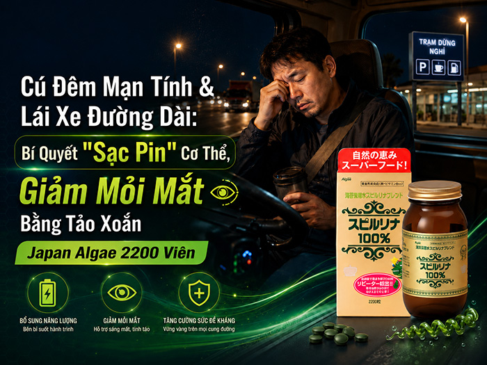 Dinh Dưỡng Cho Người Làm Ca Đêm, Tài Xế Giảm Mỏi Mắt, Căng Thẳng