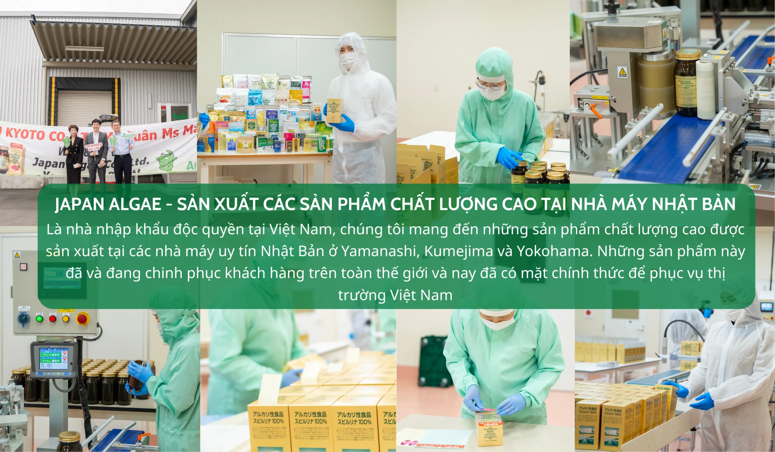Quy trình sản xuất tảo xoắn Japan Algae chính hãng