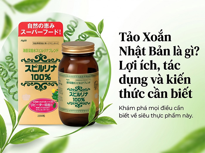 Tảo Xoắn Nhật Bản là gì? Lợi ích, tác dụng và kiến thức cần biết