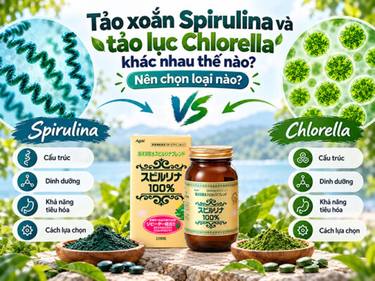 Tảo xoắn Spirulina và tảo lục Chlorella khác nhau thế nào? Nên chọn loại nào?